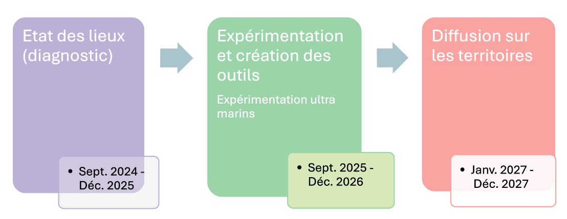 3 phases du projet ESMS